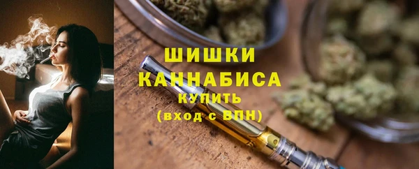 гидра Арсеньев