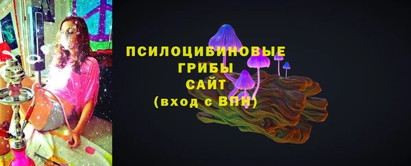 гидра Арсеньев
