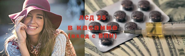 гидра Арсеньев