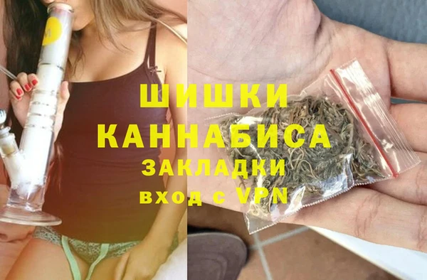 гидра Арсеньев