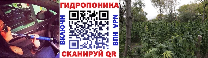 Каннабис план  omg   Оханск 
